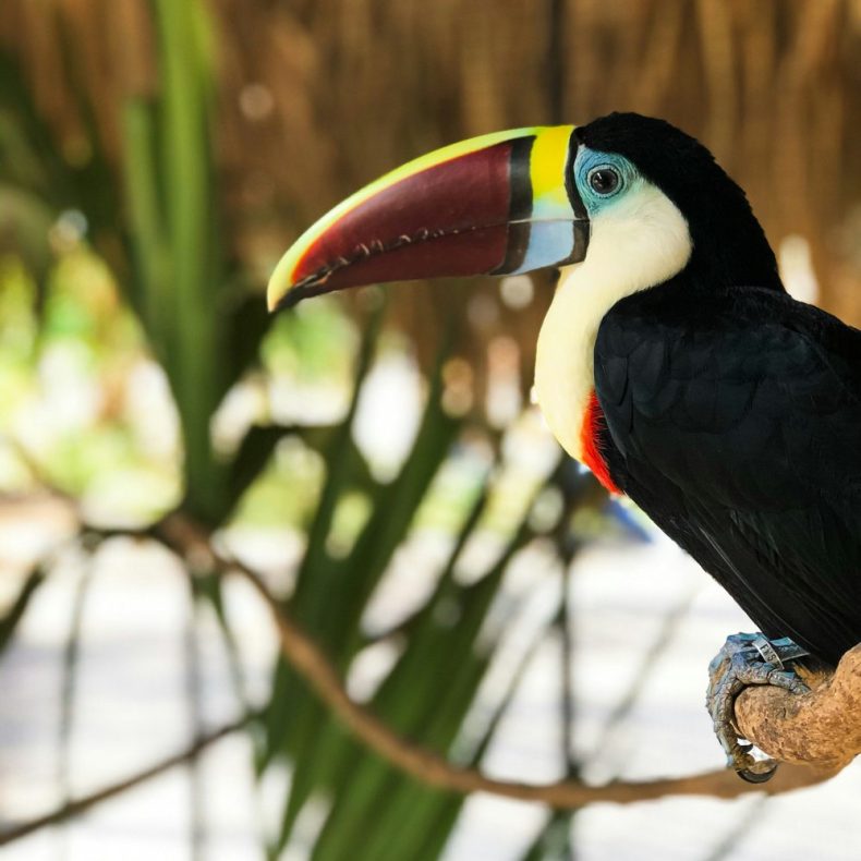 eliezer-pujols-_zweUWZYyKs-unsplash