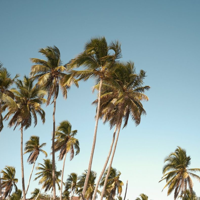 sj-objio-rD-AspGB1Pc-unsplash